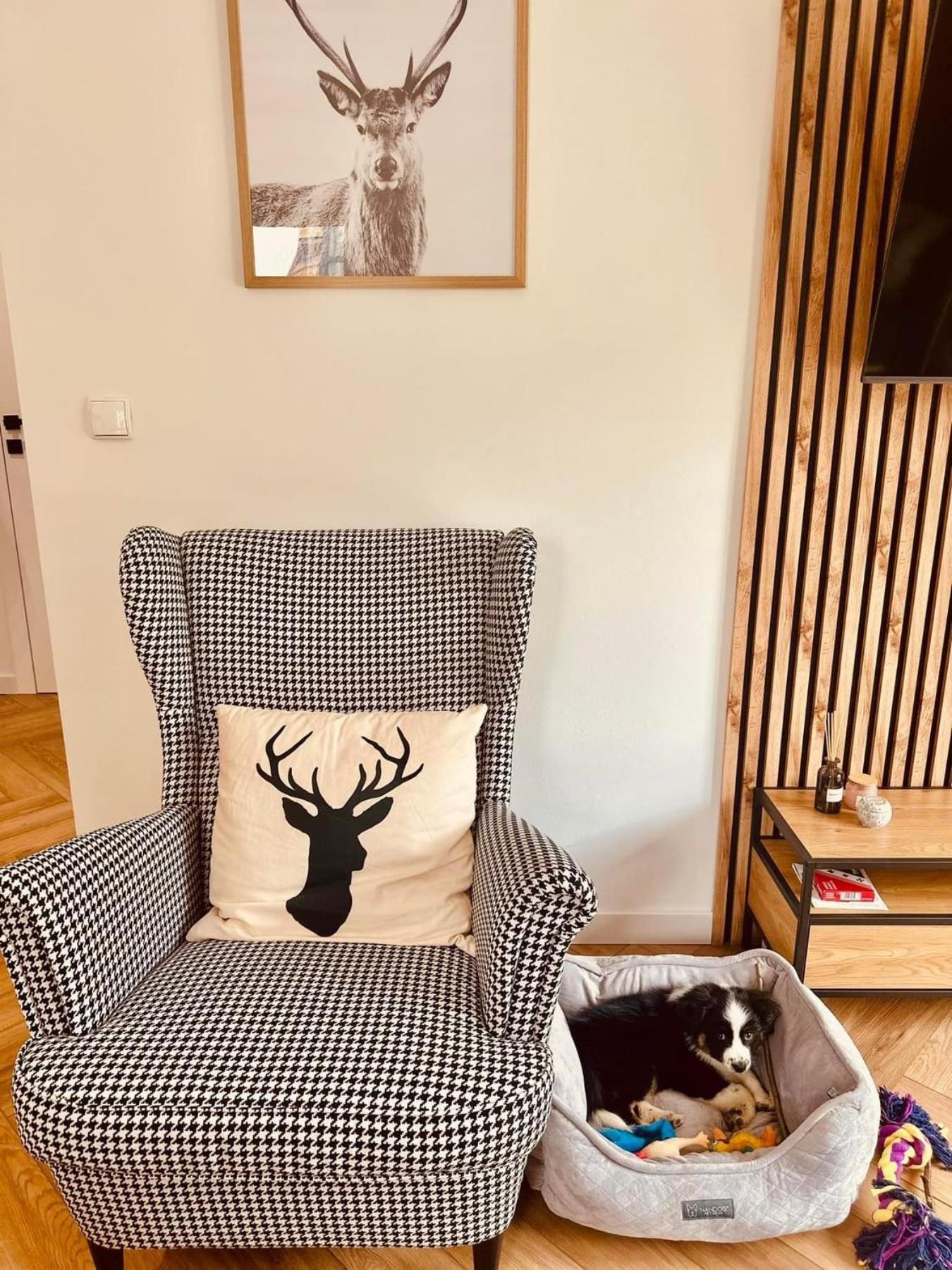 Apartment Deer